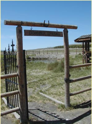 Gray Jay Press- California Trail- Donner Spring